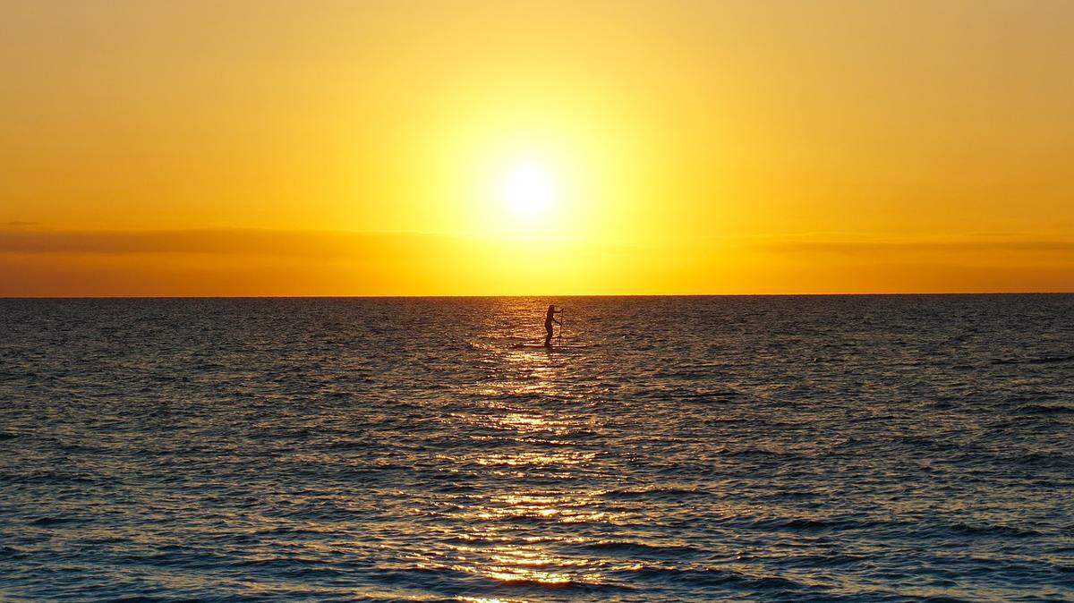 Paddleboarder