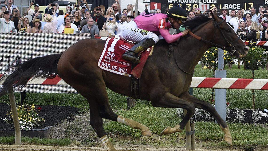 War of Will, ridden by Tyler Gaffalione, crosses the finish line first to win the Preakness Stakes horse race at Pimlico Race Course, Saturday, May 18, 2019, in Baltimore.