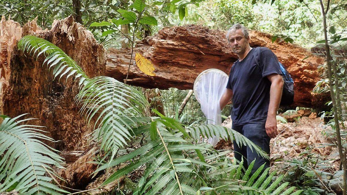 Researchers rediscovered a species of weevil thought extinct and found a new species of weevil in the Philippines, according to the University of Alberta.