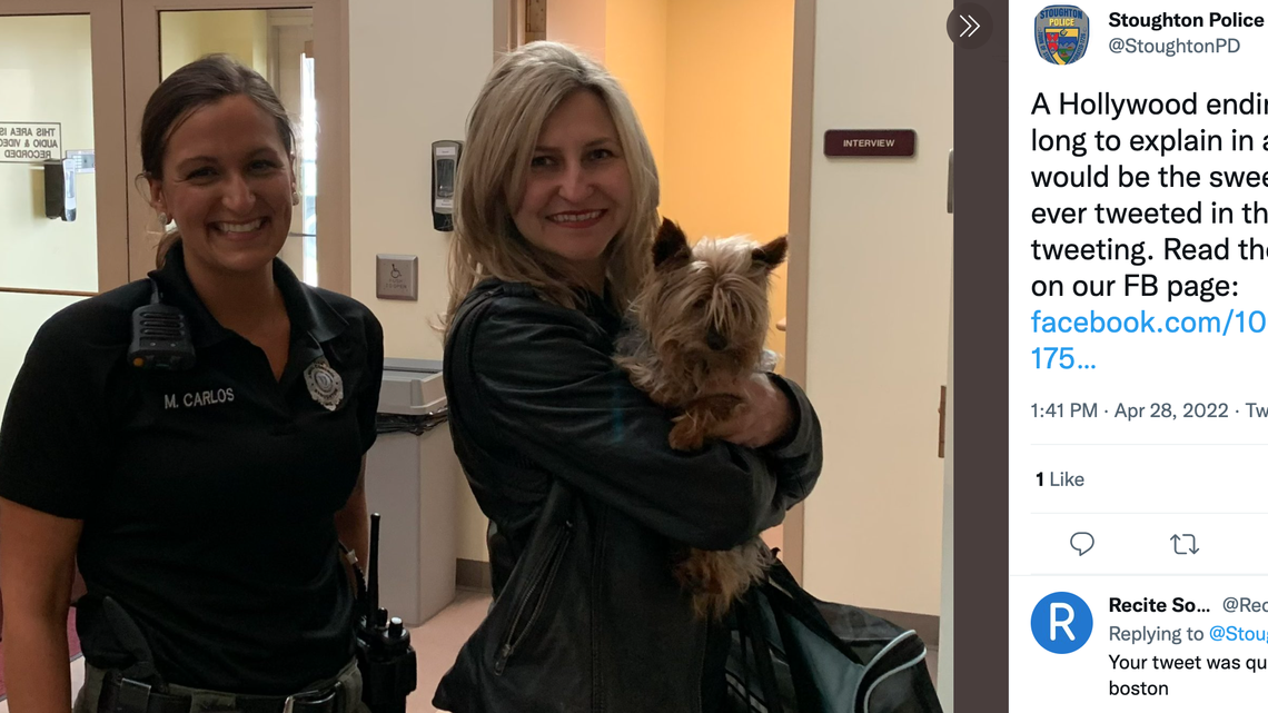 A yorkie dog named Rex was stolen 11 years ago and got reunited with its family in Massachusetts, police say. A microchip located the woman who adopted him.