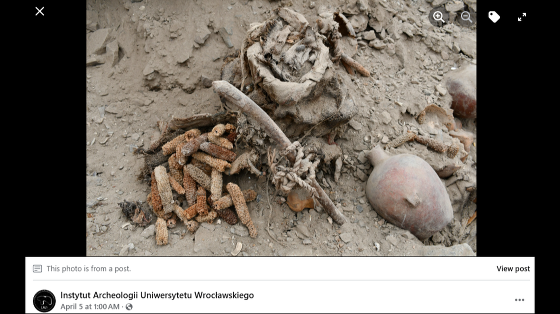 Grave goods and careful burial suggest the community was victorious and could bury their dead after the conflict, researchers said.