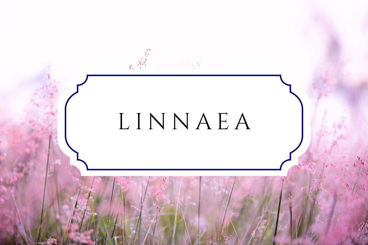 names that mean flower linnaea
