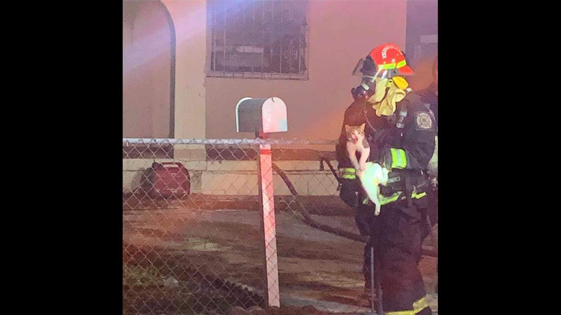Firefighters had to rescue 14 cats and one dog from a house fire early Sunday, according to Hialeah Fire Rescue.