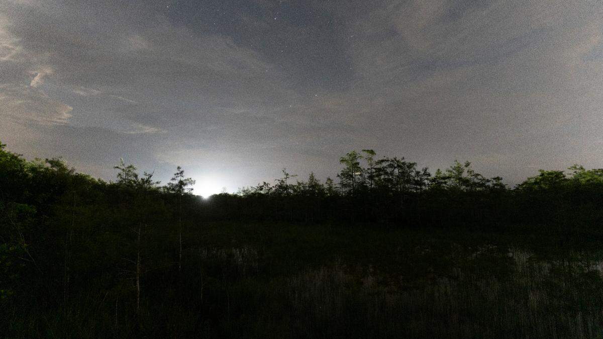Anthony Sleiman, a conservation photographer who documents the night sky over the Florida Everglades, said he took this photo around midnight on July 1 near the entrance to the state’s new immigration detention facility, Alligator Alcatraz. Light from the facility can be seen nearby. Big Cypress National Preserve was named the nation’s first “dark sky” preserve in 2016.