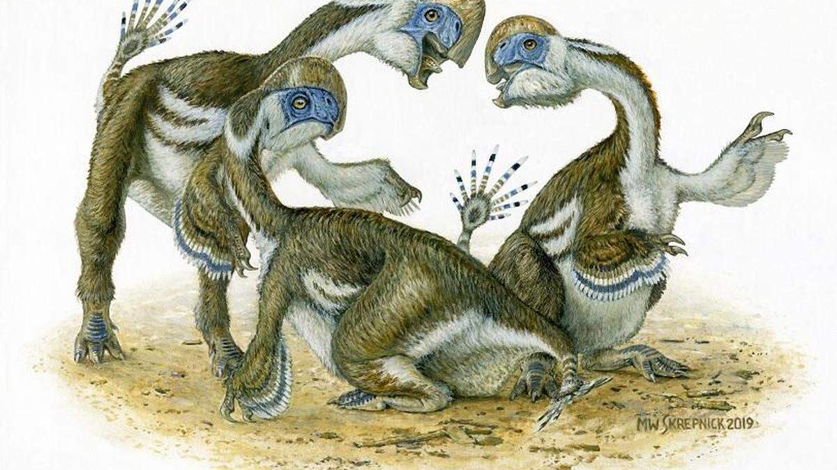 Artist’s impression of Oksoko avarsan dinosaurs that sported feathers, toothless beaks and two-fingered forearms.
