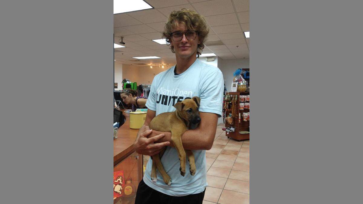 Rain washed out all 36 matches at the Miami Open on Tuesday, but there was one big winner: Pop, the 2-month-old Terrier mix who was adopted on Tuesday morning by world No. 3 Alexander “Sascha” Zverev.