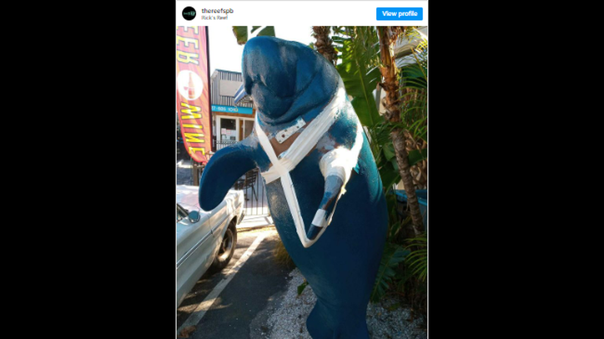 The incident happened Friday, Dec. 8, in St. Pete Beach, Florida, and the “victim” was a life-sized statue of a manatee that doubles as a mascot for Rick’s Reef restaurant, according to the Pinellas County Sheriff’s Office.