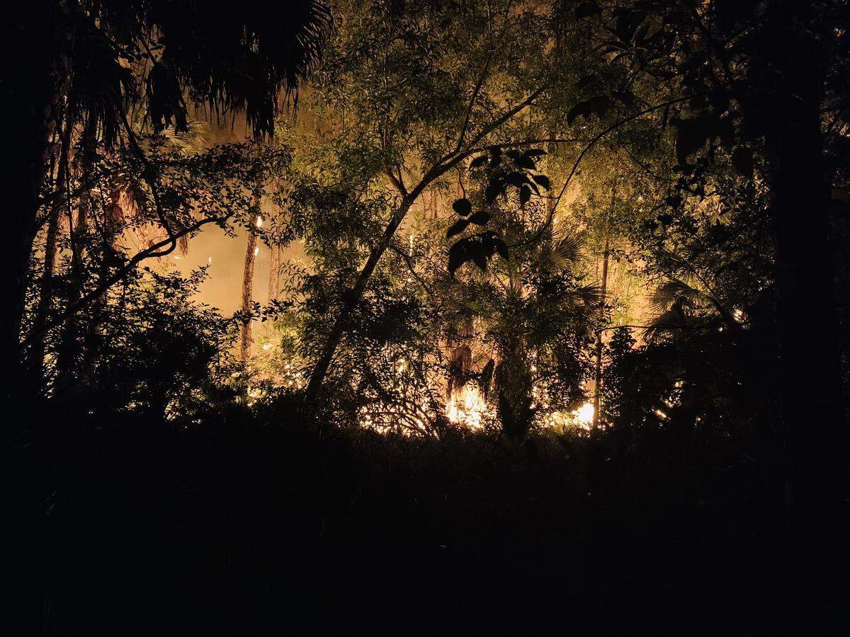 Thursday night view of wildfires burning through Collier County