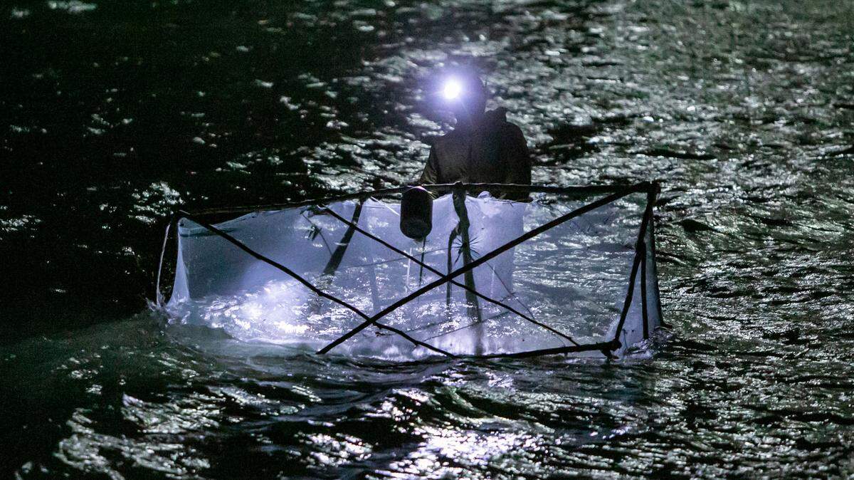 A local villager, wearing a head lamp, uses a homemade net to catch eels, zangi in Haitian Creole, in the northwest Haitian city of Port-de-Paix.