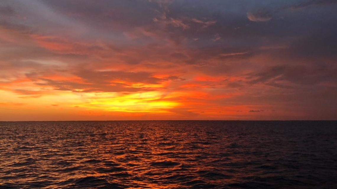 NOAA Fisheries has been tracking the two whales since they entered the Gulf of Mexico in February.