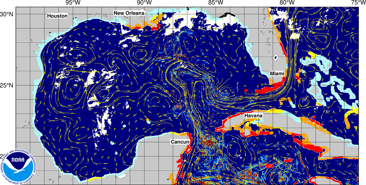 NOAA’s&nbsp;Sargassum Inundation Risk tool&nbsp;(SIR) has been upgraded to offer daily reports.