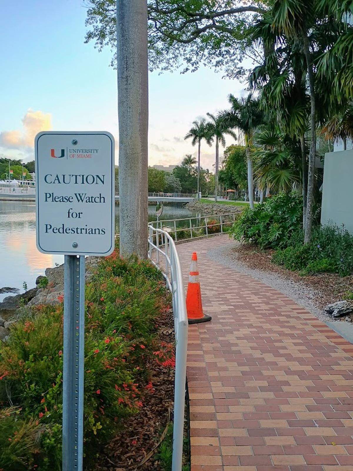 “Watch for Pedestrians” signs now line the path around Lake Osceola as UM cracks down on scooters.