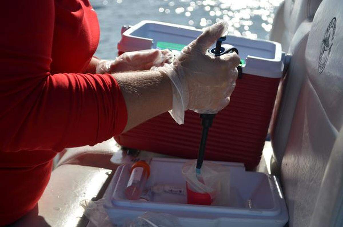 Sarah Klass, a lead researcher at Mote Marine Laboratory & Aquarium’s Red Tide Institute, collects water samples during a research cruise on July 21.