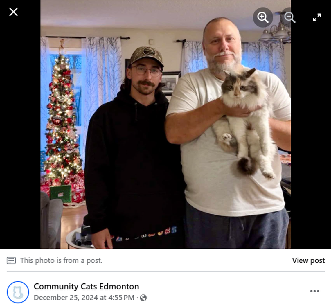 Sophie was first welcomed to the Stupar family as a Christmas present in 2014 before her escape three years later.