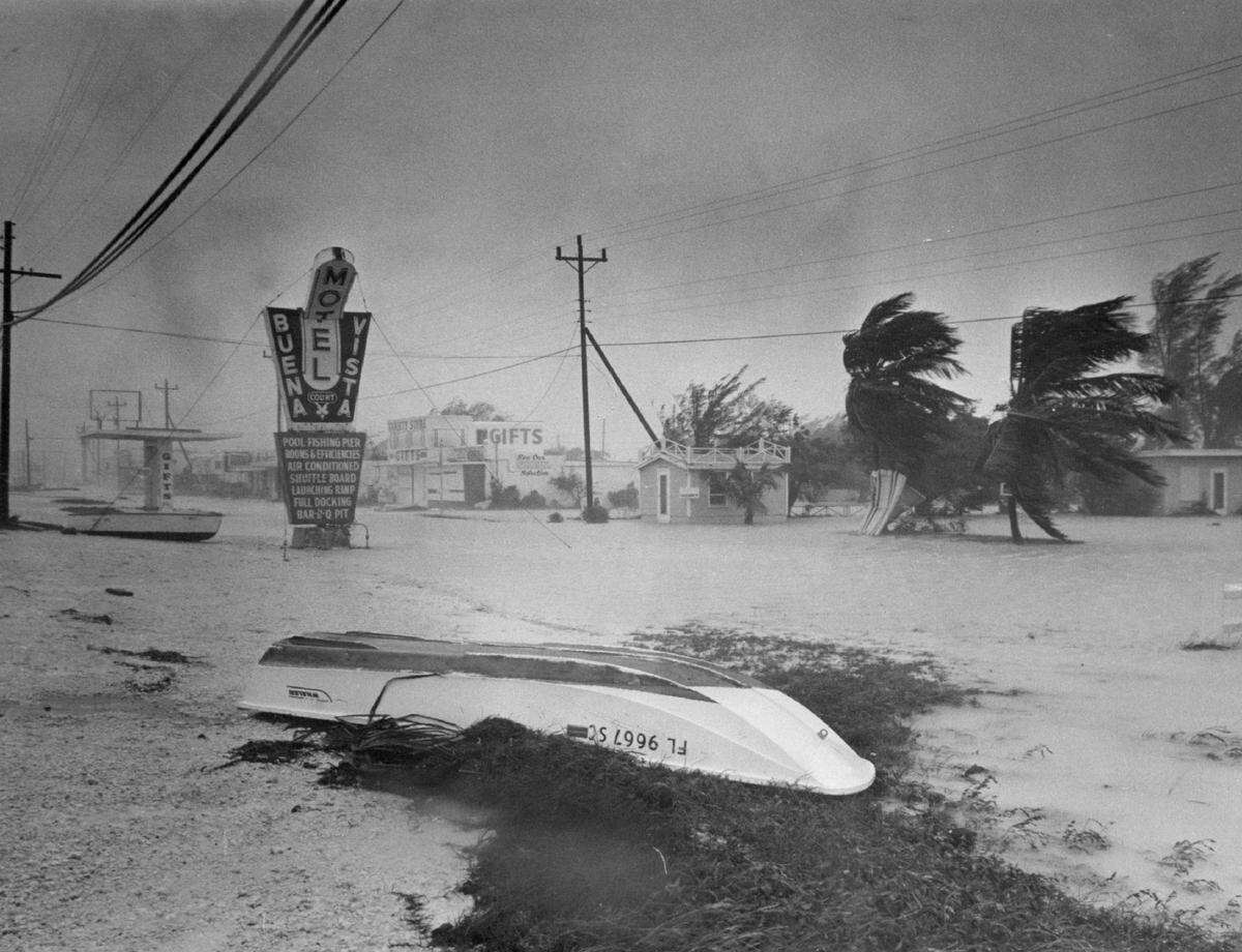 Hurricane Betsy whips South Florida.
