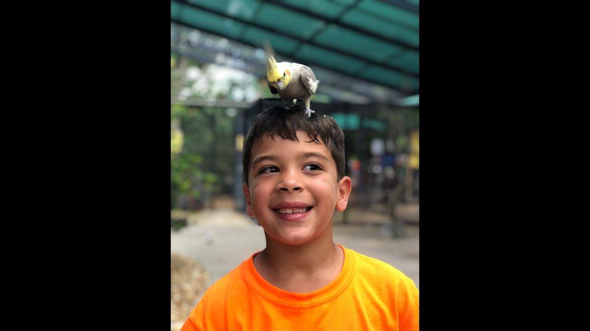 Zoo Miami is holding a winter camp from Monday, Dec. 21, through Thursday, Dec. 24, and from Monday, Dec. 28, through Thursday, Dec. 31. Pictured is Landon Ocon during summer camp 2019.