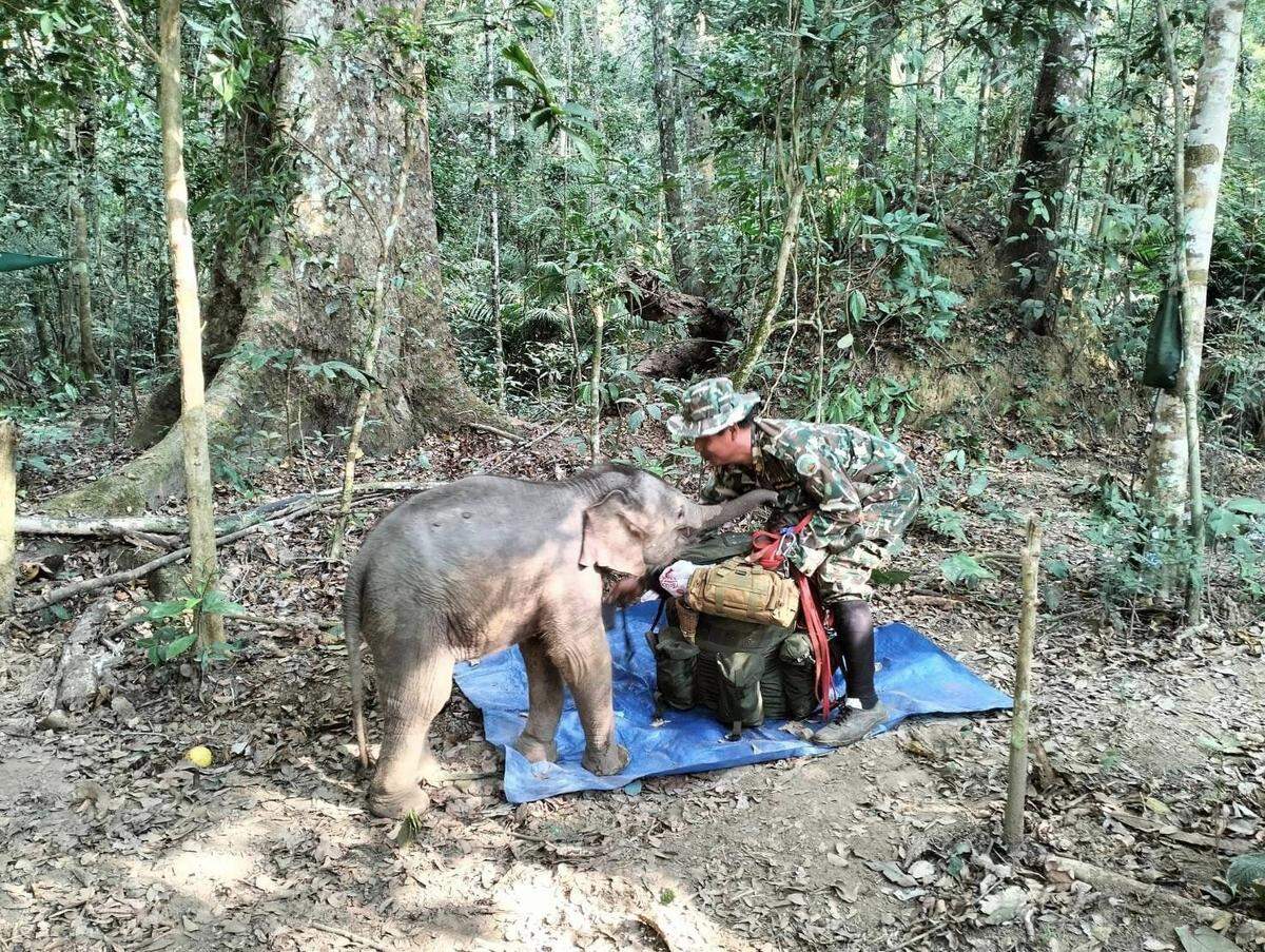 The baby was reunited with its mom the next day, officials said.
