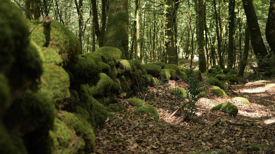An ancient stone wall used by hikers on the Italian peninsula was built to trap a famed gladiator, officials said.