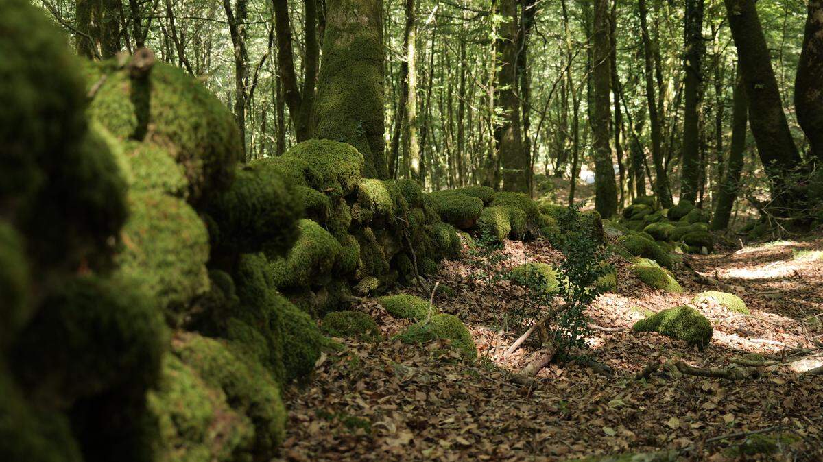An ancient stone wall used by hikers on the Italian peninsula was built to trap a famed gladiator, officials said.