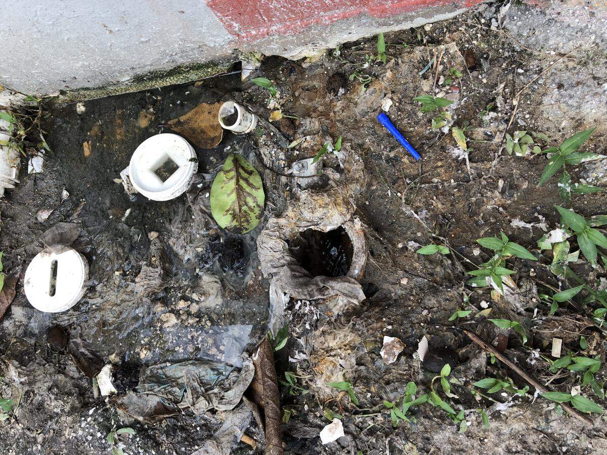 The top of the cleanout pipe at 2300 Superior Street on a dry day. Feces-soaked toilet paper can be seen around the rim.