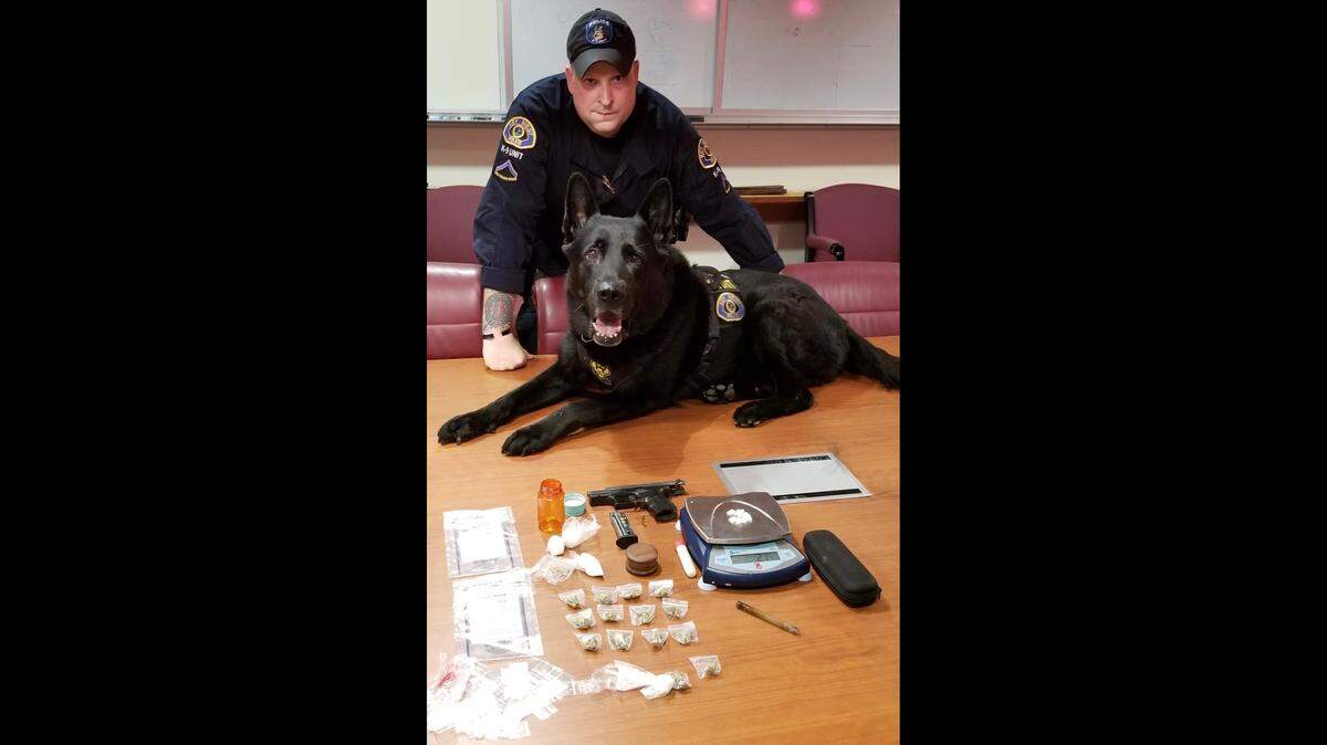Key West Police K9 Officer Tommy Anglin and his dog, Ben, with the drugs, stolen gun and paraphernalia seized over the weekend.