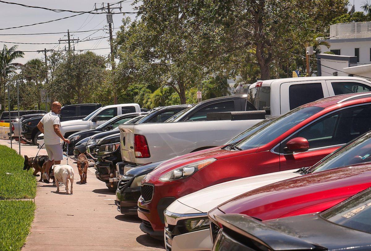 North Beach resident Pablo Mejie, 59, look back as he walks his dogs pass parked vehicles and could soon be part of a residential parking program for the first time on Monday, July 1, 2024.