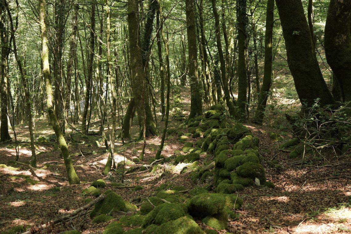 The wall once stretched from one coast of the Italian peninsula to the other, officials said.