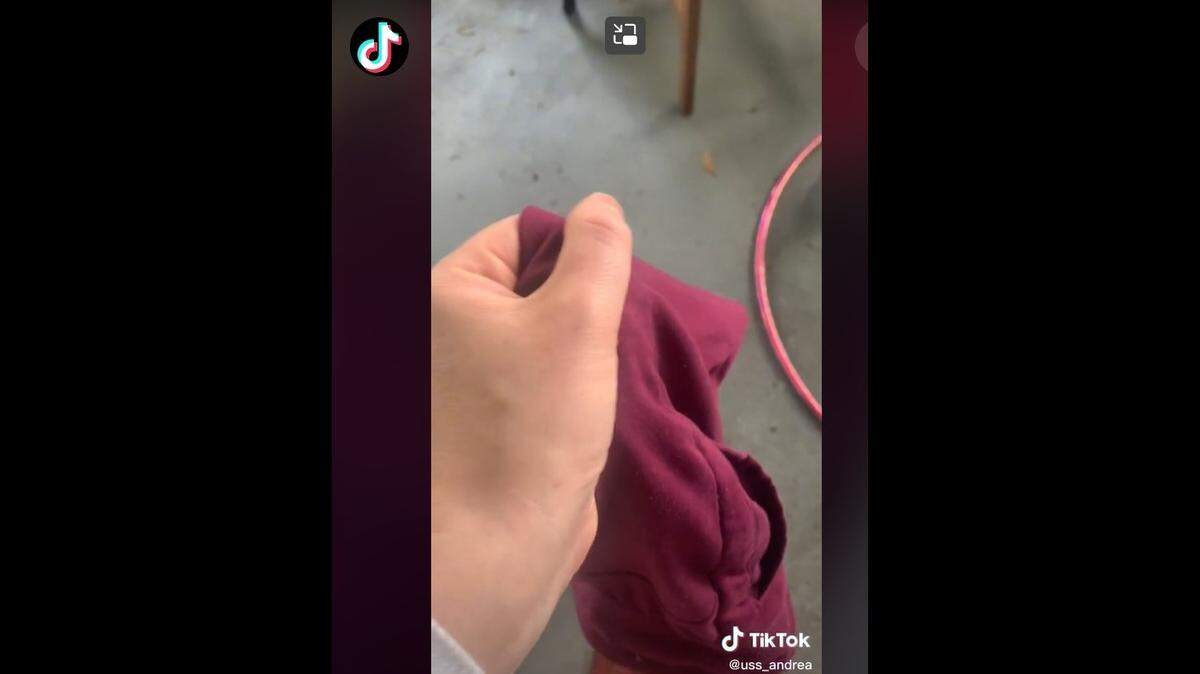 A TikTok user in Florida posted a video of her finding a lizard in her pants after feeling ‘something sharp’