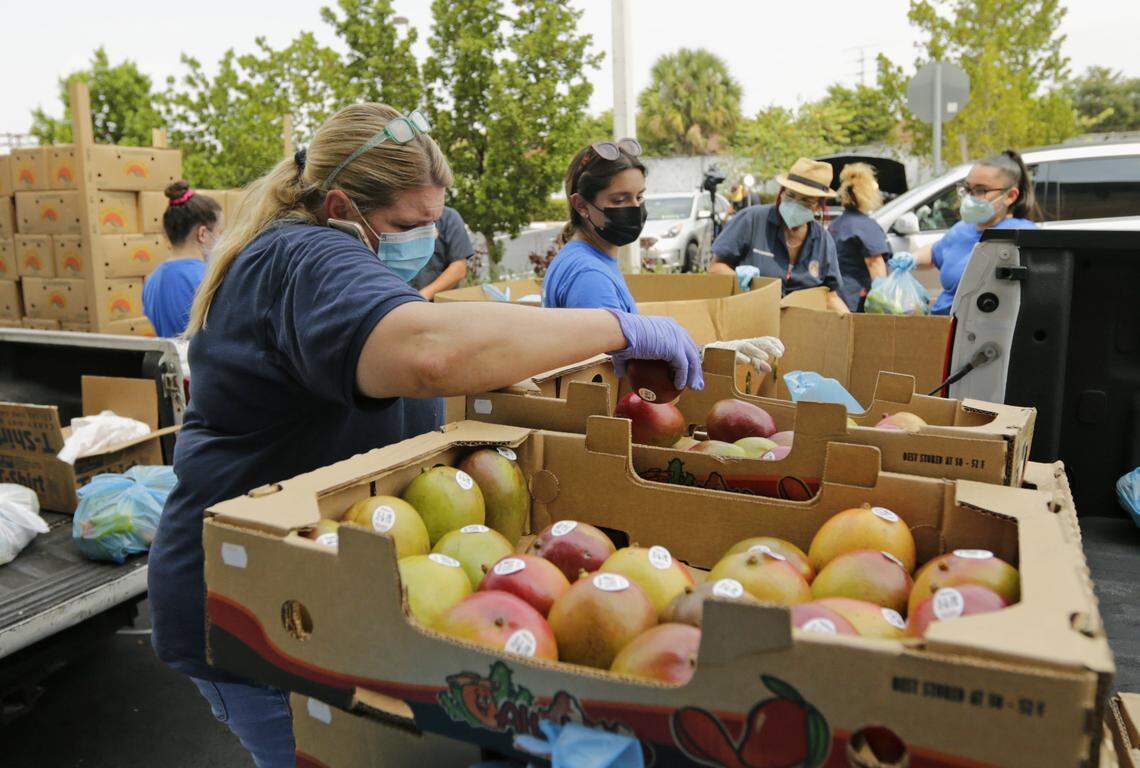 Hialeah Gardens Department of Parks & Recreation employees loading up food and vegetables to hundreds of cars lined up for hours early at Mater Academy as the Novel Coronavirus pandemic continues on Thursday, April 16, 2020 in Hialeah Gardens. The food giveaway was coordinated by Hialeah Gardens who teamed up with Feeding South Florida Miami-Dade.