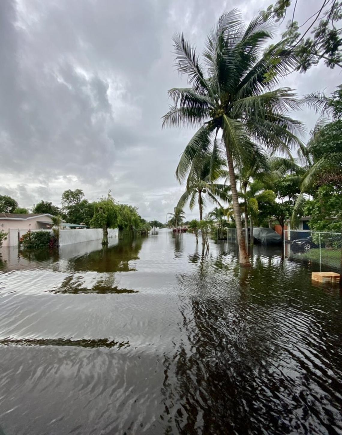 Lauderhill streets, Monday morning.