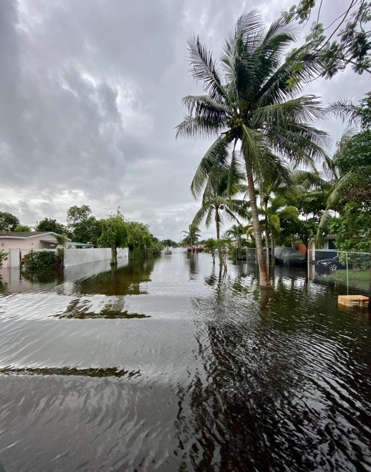 Lauderhill streets, Monday morning.