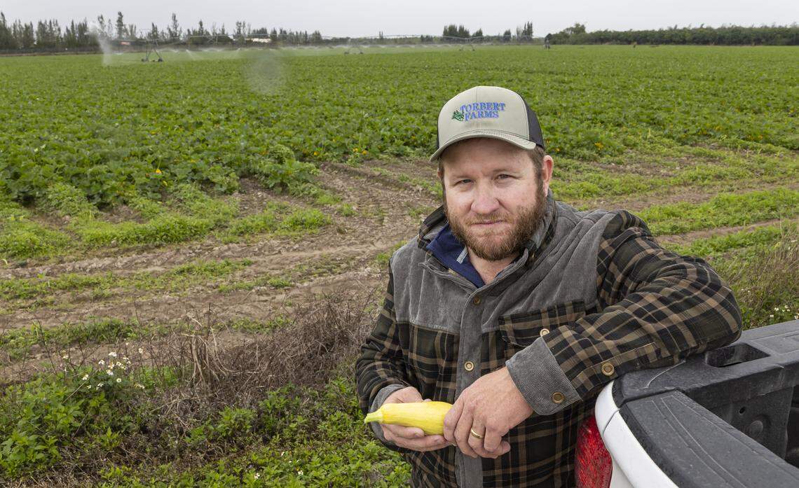 Farm manager David Torbert, 32, holds a squash as an irrigation system waters crops while he and his staff prepare for a cold front expected over the weekend and into next week across South Florida on Friday, Jan. 30, 2026, in Homestead, Fla.