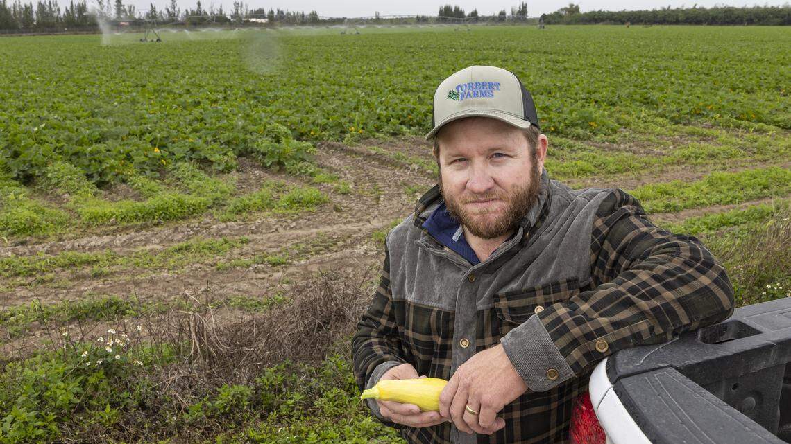 Weather alert: Freeze watch and wind warnings issued for South Florida