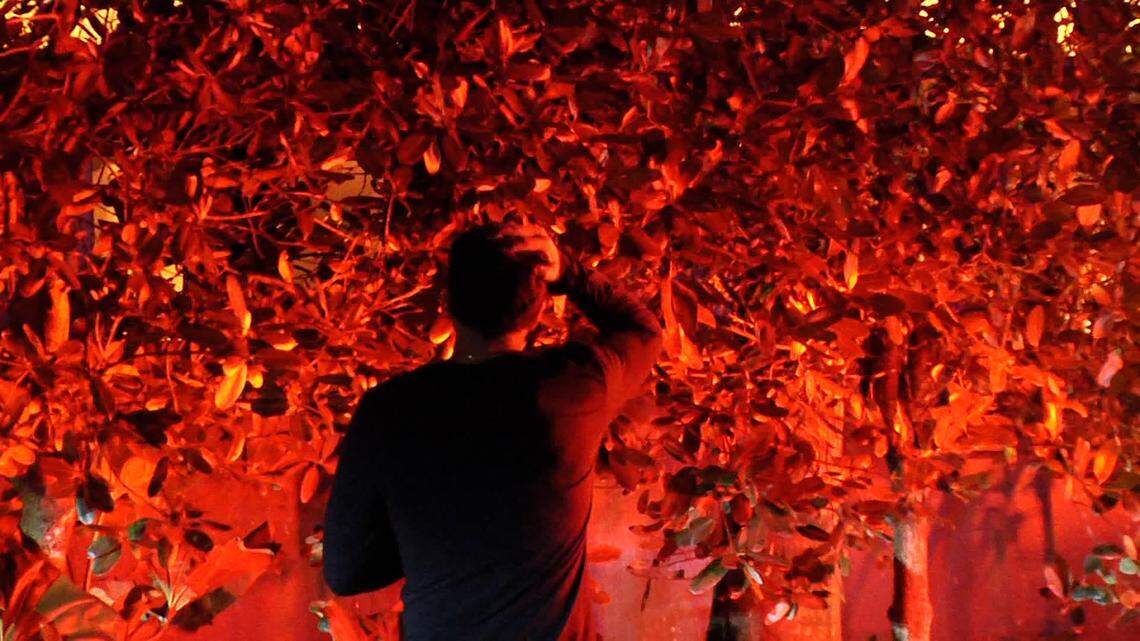 Miami-Dade Fire Rescue crews battle a blaze early Thursday at a home owned by Miami Heat Coach Erik Spoelstra.