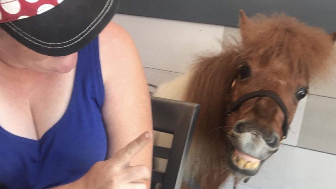 On June 15, 2018, a woman came into a First Watch restaurant in Ocala with her miniature horse. When asked if it was a service animal, the woman confirmed that it was.