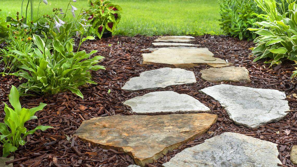 Why wearing gloves in the garden matters more than you might think in Miami