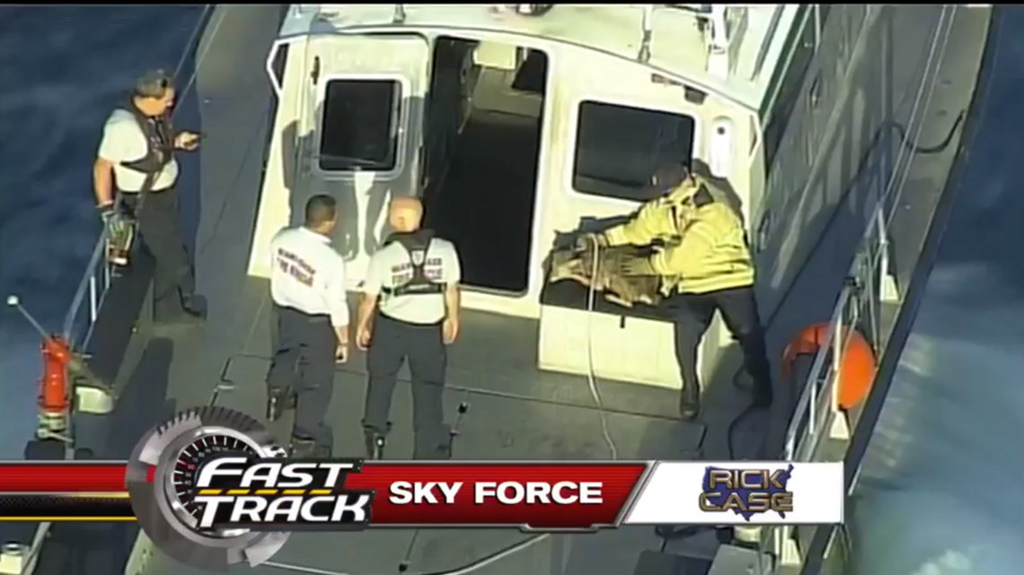 Coyote will be euthanized after it was rescued from waters near Miami port, reports say