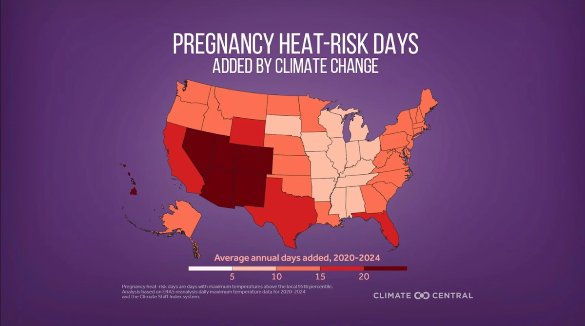 Between 2020 and 2024, 19 of Florida’s average of 28 pregnancy heat risk days each were attributable to global warming.