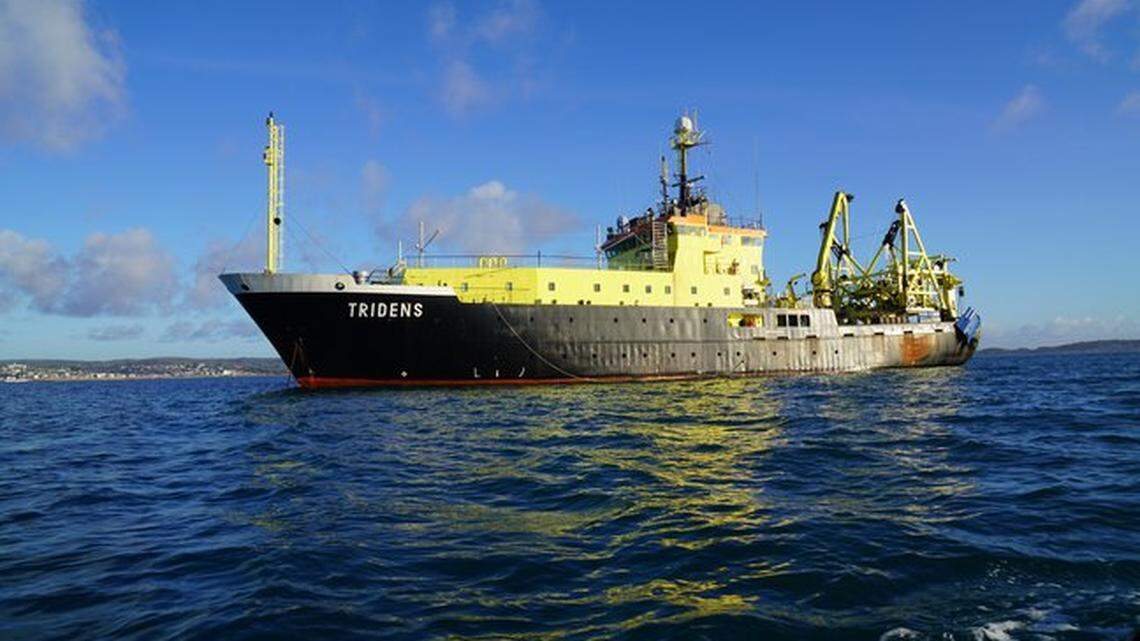 Scientists discovered the deep-sea creature in their fishing net and later identified it as a new species, study said.