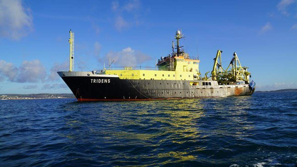 Scientists discovered the deep-sea creature in their fishing net and later identified it as a new species, study said.