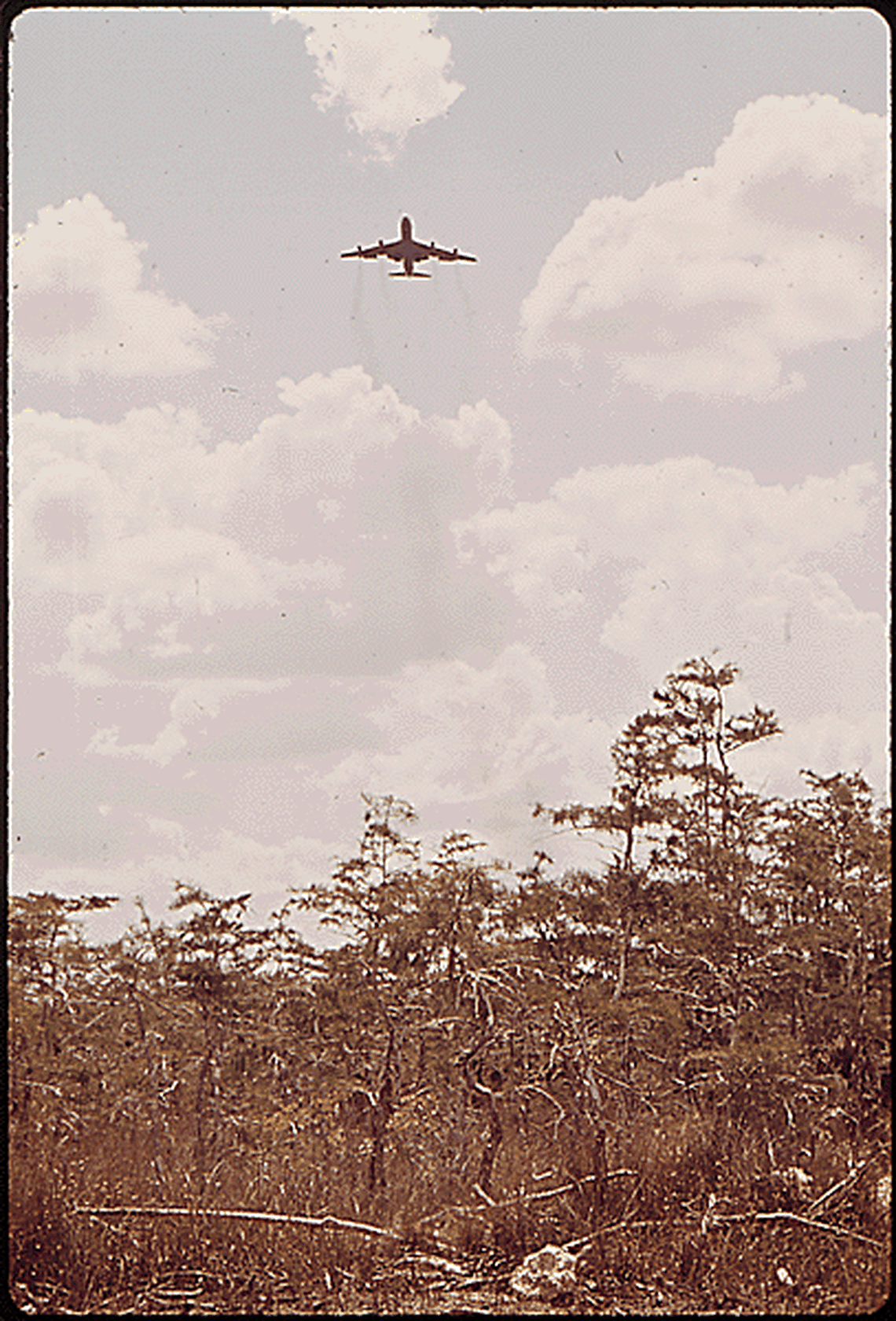 Jet takes off from Miami-Dade Jetport in the Florida Everglades. July 1972.