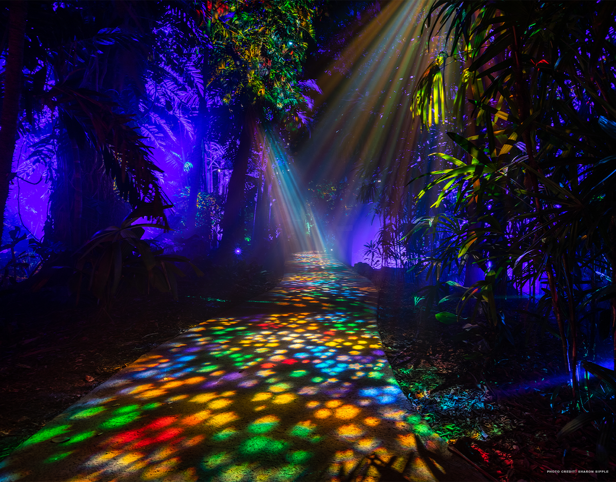Wander through the paths of the NightGarden via the Rainbow Bridge (no, not that Rainbow Bridge).