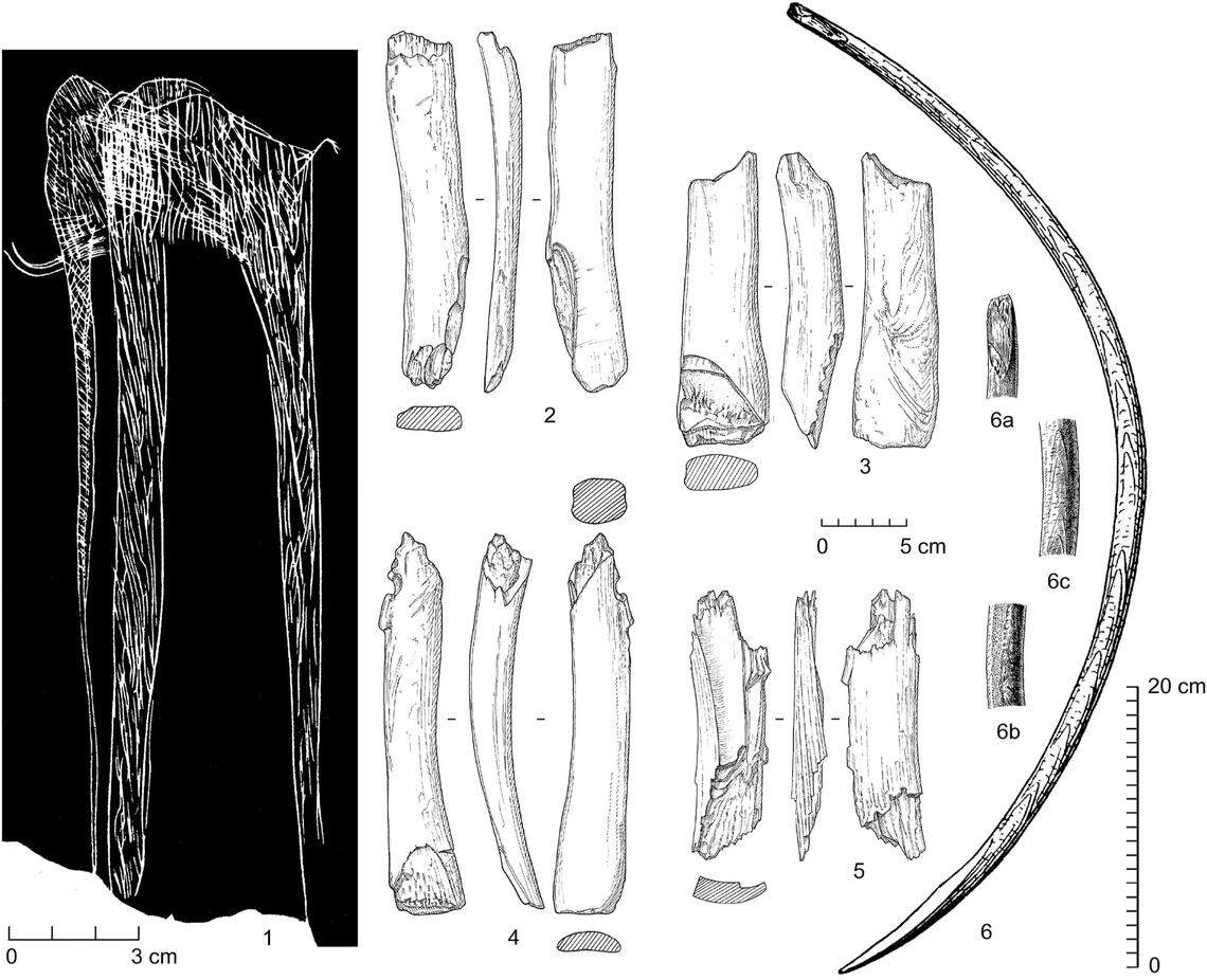 Mammoth bones that had been altered by people and a carving of a mammoth were found with the ancient human artifacts.
