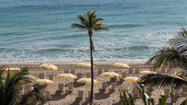 Discover Fort Lauderdale’s sophisticated side as a vacation destination