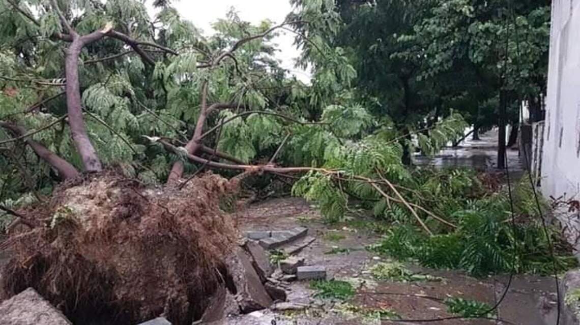 Tropical Storm Laura batters Cuba as other Caribbean nations assess damage