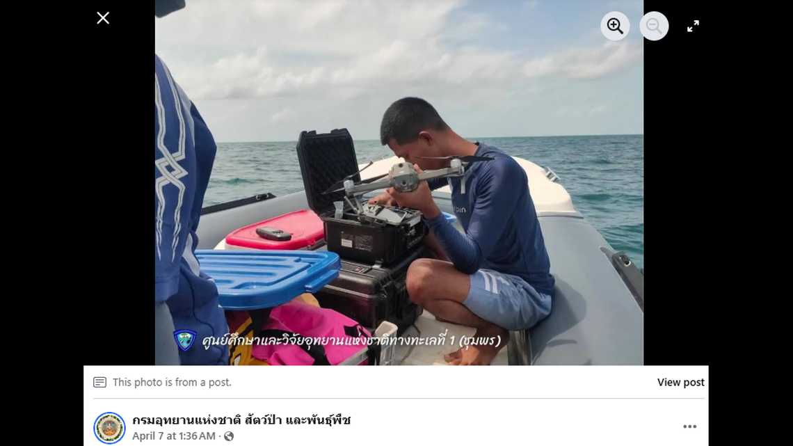 Researchers conducting surveys on marine mammals spotted the rare creatures.