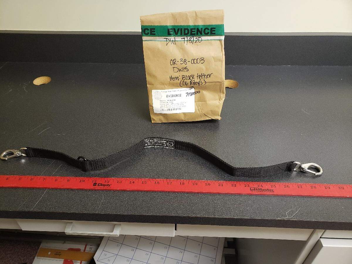 The tether used by corrections officer Michael Riley Jr.
