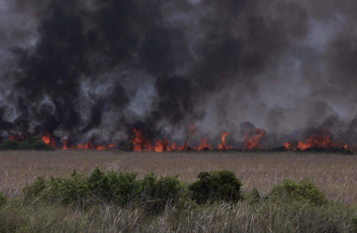 A wildfire burns west of Weston into the Everglades on Monday, May 11, 2026, seen from Everglades Holiday Park in Fort Lauderdale, Fla. 