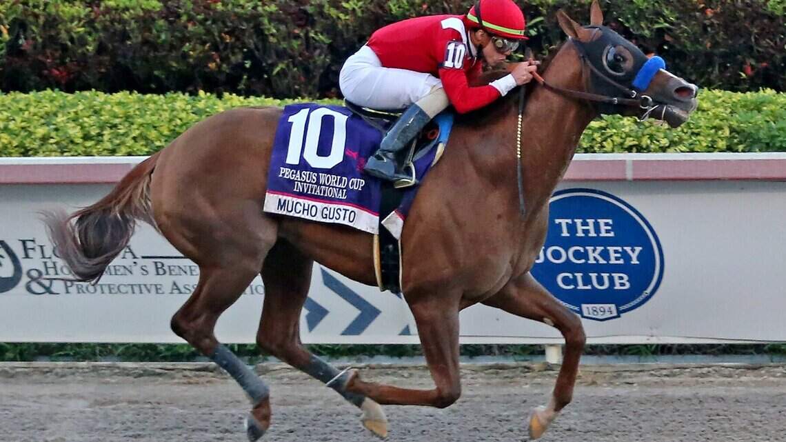 Irad Ortiz Jr. made a smart choice to ride Mucho Gusto, the winner of Pegasus World Cup