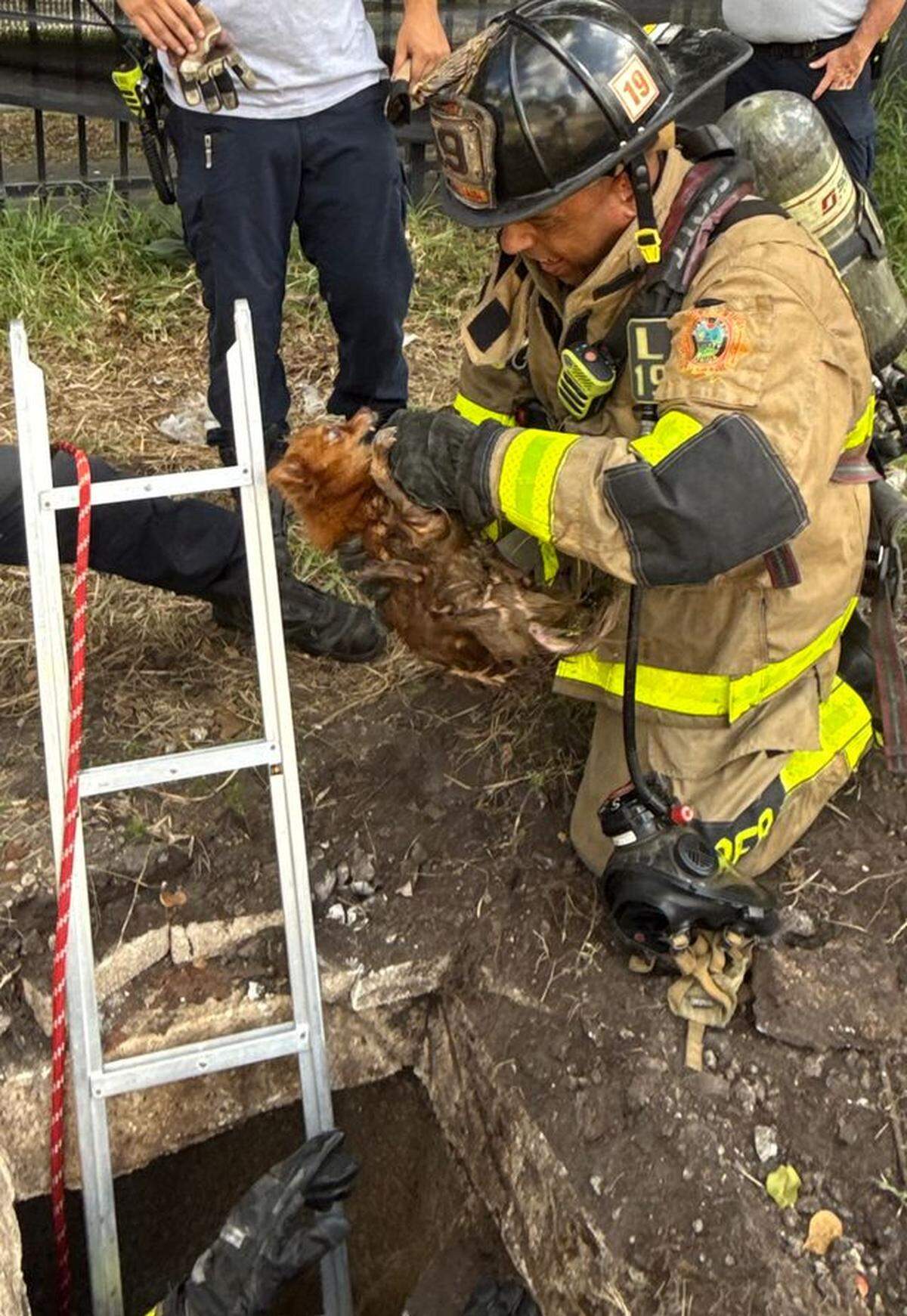A Miami-Dade County firefighter holds a dog his colleague handed him after rescuing the dog from an abandoned septic tank Thursday, Aug. 21, 2025.